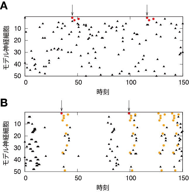 learned sequence